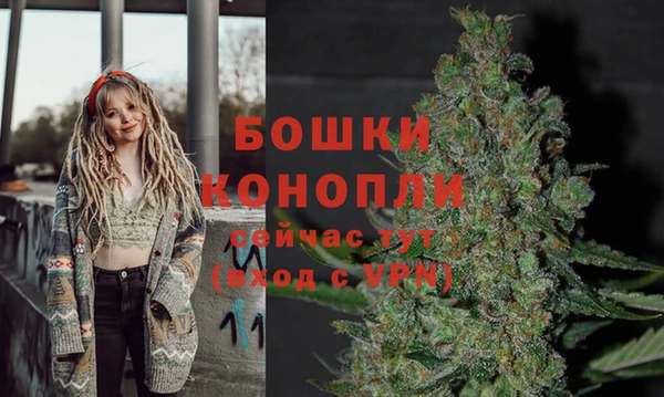 альфа пвп Коряжма