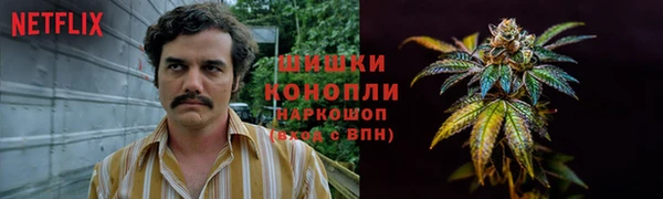 гидропоника Костерёво