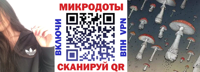 Галлюциногенные грибы Magic Shrooms  Купить где  Верхоянск 