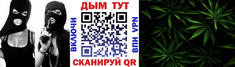 Конопля планчик Купить Верхоянск